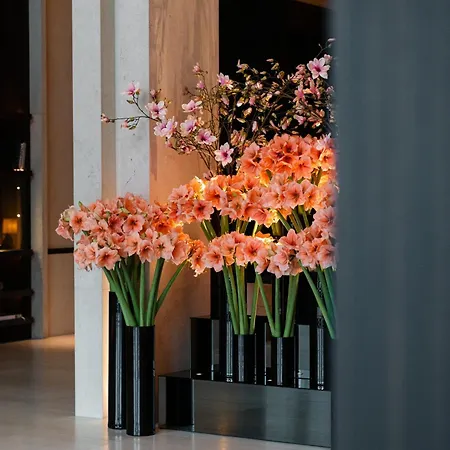 La Reserve Resort 5*